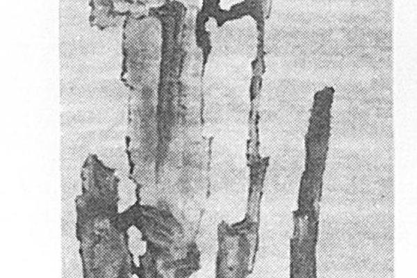 怪石图