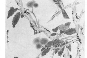 鹰栗图