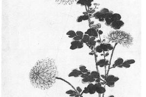 黄花灵石图
