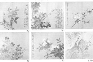 花卉图册