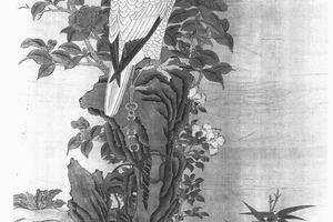 花鸟