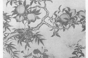 花卉图