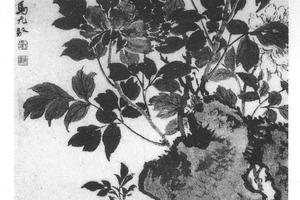 牡丹