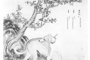 十骏犬苍水虬