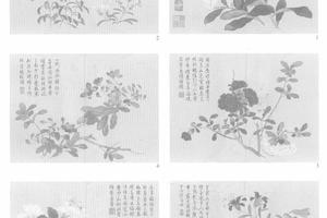 夏华十二种
