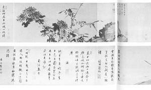 写生二种图卷
