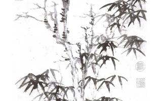 鹰逐画眉