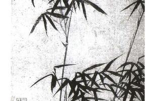 朱竹