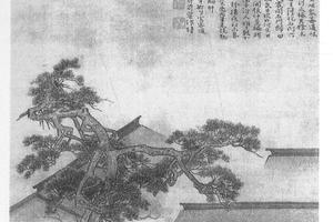 共居图