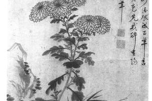 菊花竹石