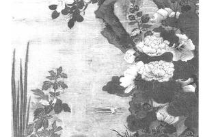 天中佳卉