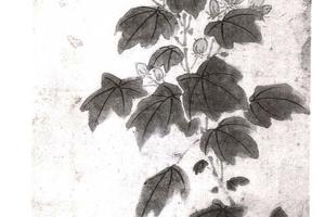 秋塘野骛