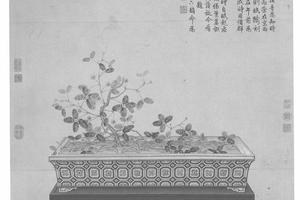 海西知时草图