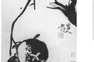 石榴图