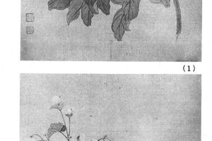 花卉八开