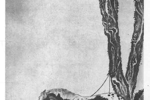 马图