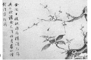 花乌十开