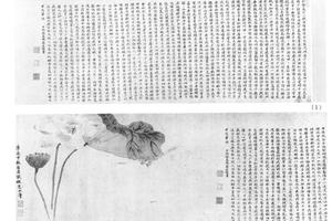 荷花图