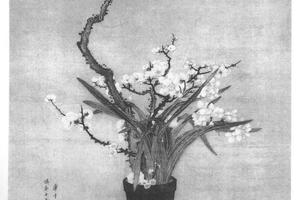 瓶梅水仙图