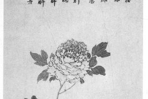 绿牡丹图