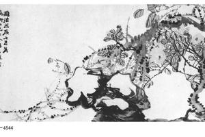 腊梅茶花图