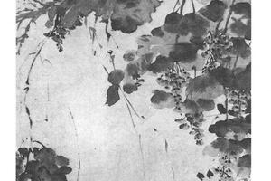葡萄图