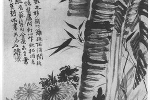 蕉菊图