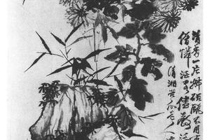 菊竹石图