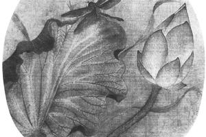 荷花蜻蜓图