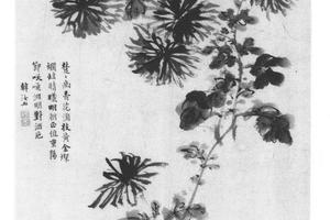 菊花图