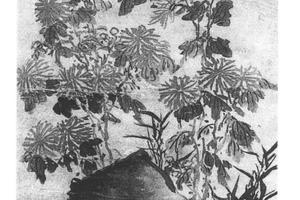 菊石图