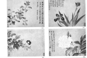 春花图八开