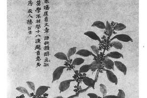 折桂图