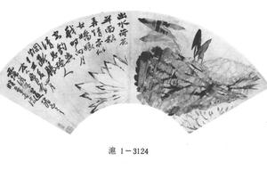 白莲图