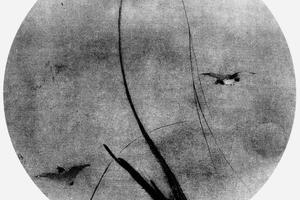 秋柳双鸦图