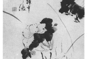 五月莲花图