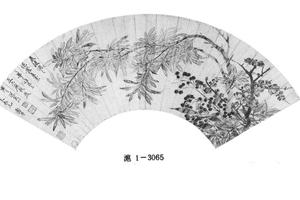 腊梅松树图