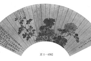 菊花图