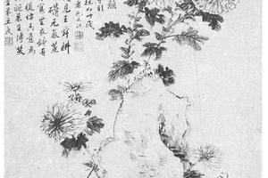 菊石图