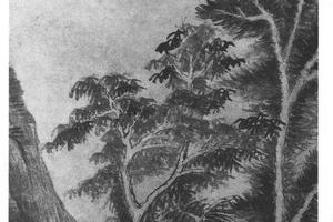 夏木垂荫图