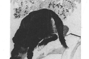 猫雀图