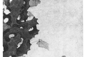 雄鷄芙蓉图