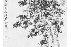松芝延寿图