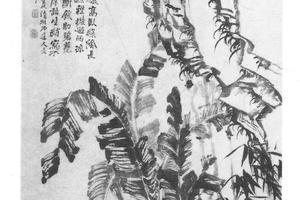 蕉菊竹石图