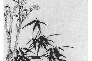 花卉十开