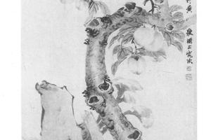 桃实绶带图