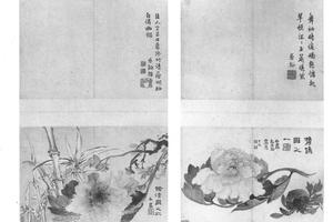 自题牡丹图六开