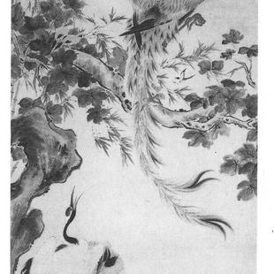 花乌_清_华喦高清作品集- 同样APP