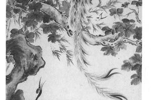 花乌