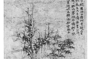 竹石霜柯图